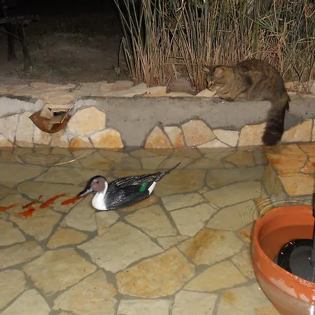 Rosa Nocleg ze śniadaniem Cefalù