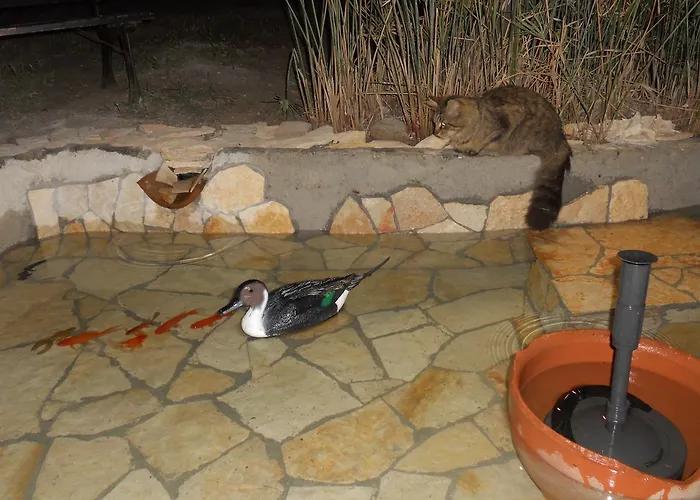 Rosa לינה וארוחת בוקר צ'פאלו